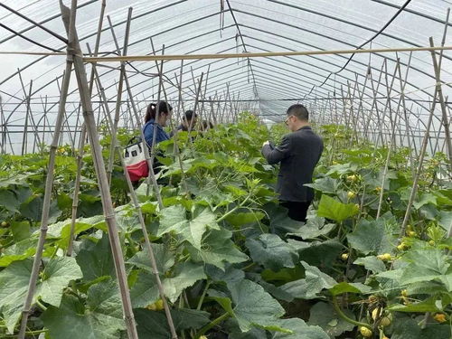 科技賦能，一碼溯源 食用農產品的電子身份證時代