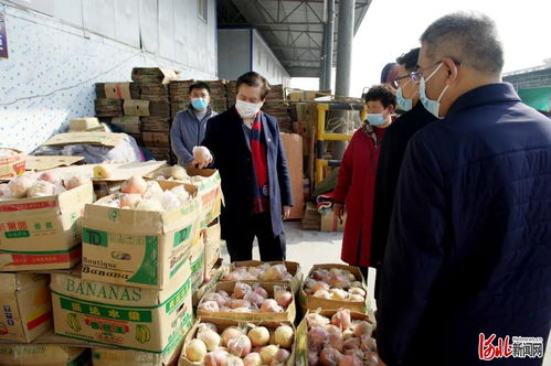 邢臺市市場監管局黨組書記柳金鐘實地調研食用農產品市場銷售信息追溯系統建設 筑牢食品安全防線，推動追溯技術研發創新